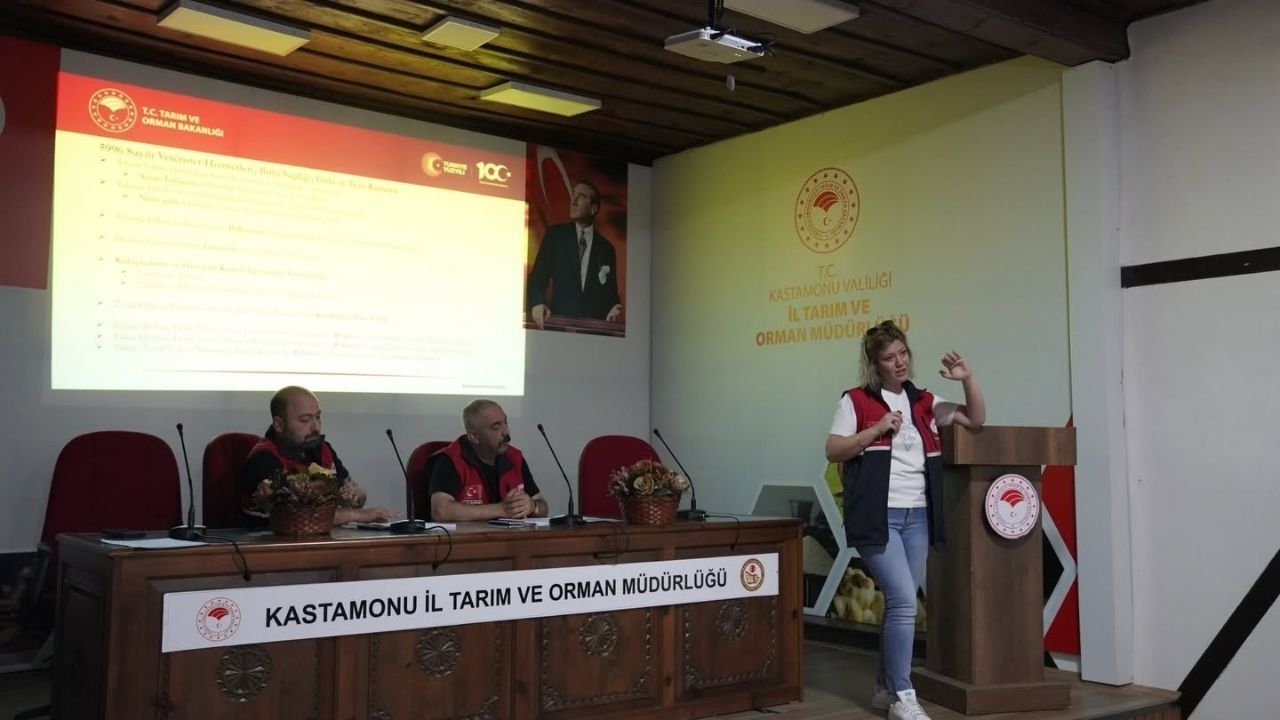 Kastamonu Kanatlı İşletmeleri (1)