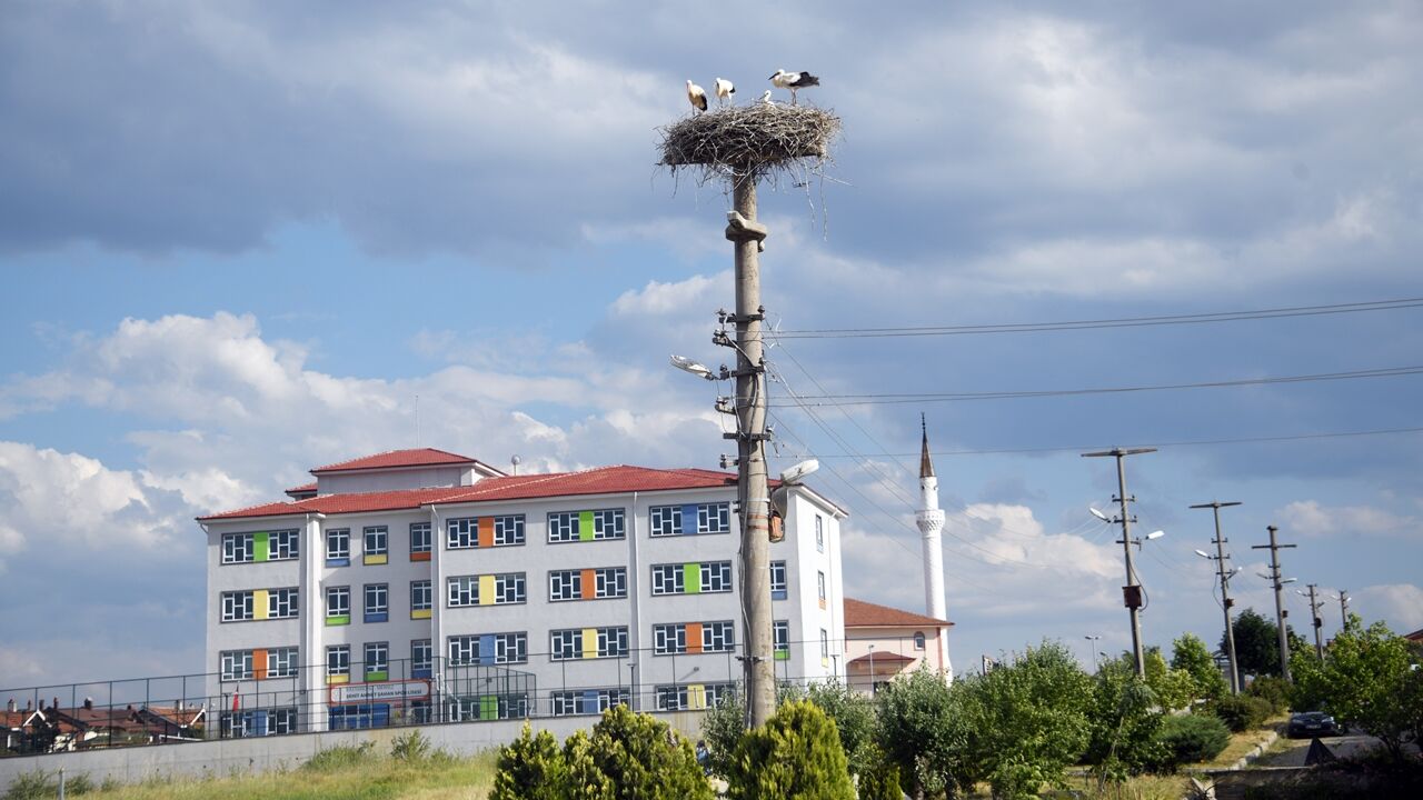 Kastamonu Leylekler (2)