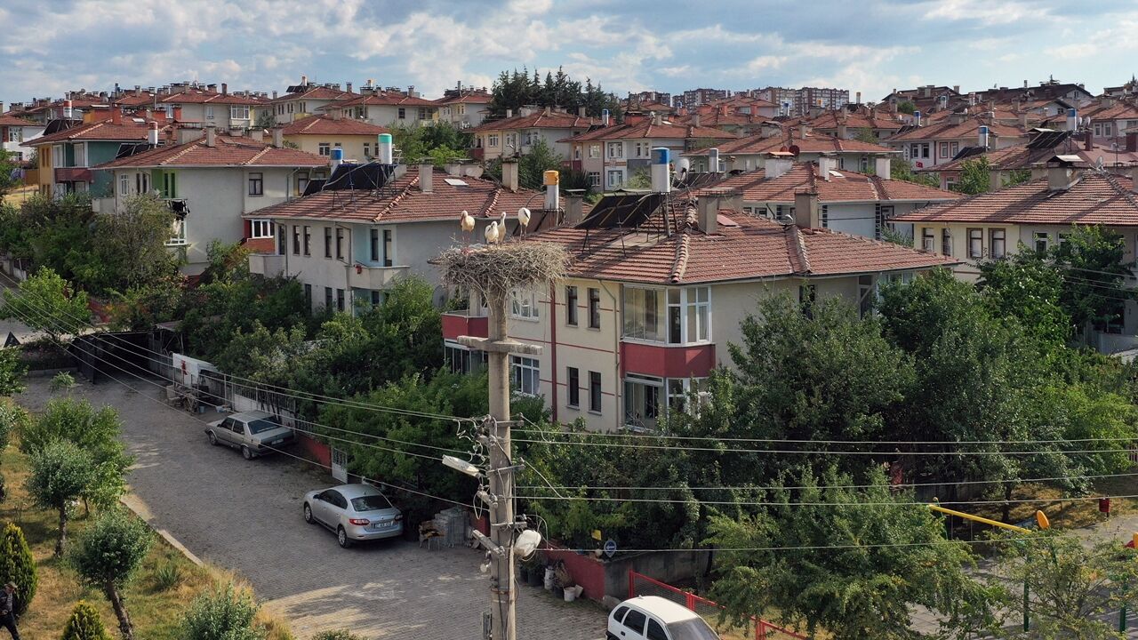 Kastamonu Leylekler (4)