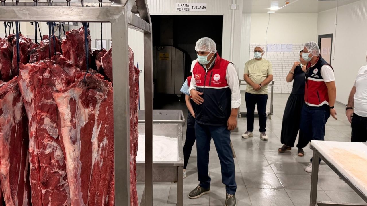 Kastamonu Pastırması Yatırım (2)