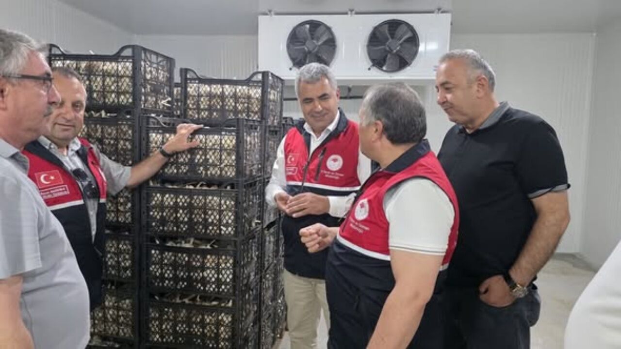 Kastamonu Tarımına Önemli Yatırım! Sarımsak Için Modern Depolama Dönemi
