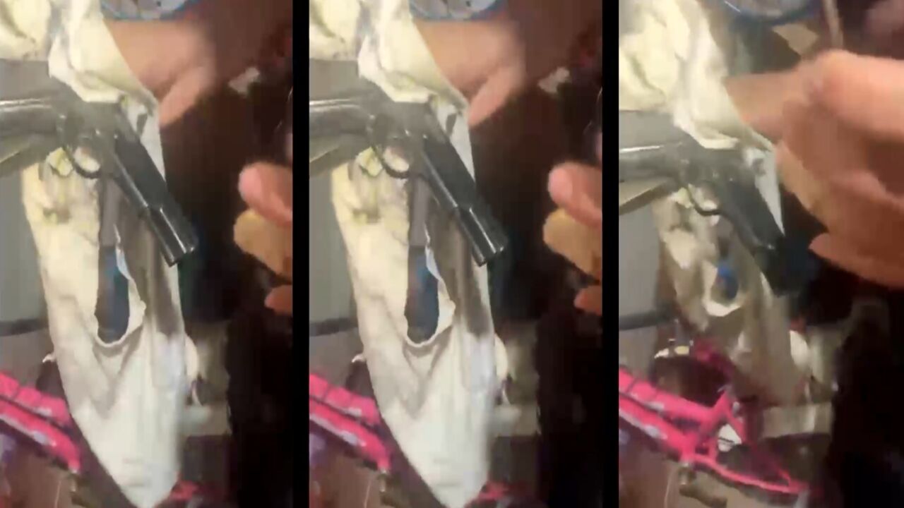 Kastamonu Taşköprü Asayiş Silah (4)
