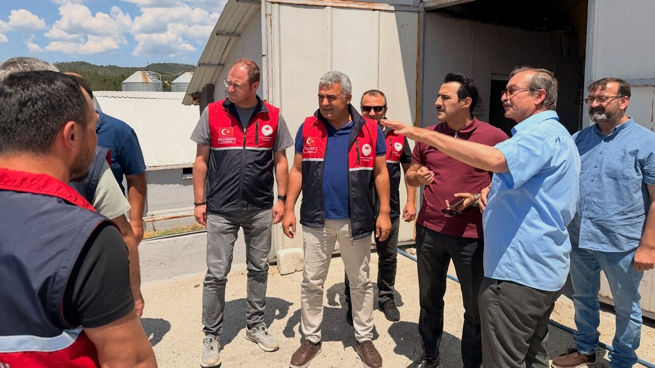 Kastamonu Tavuk Çiftlikleri Gezi (2)