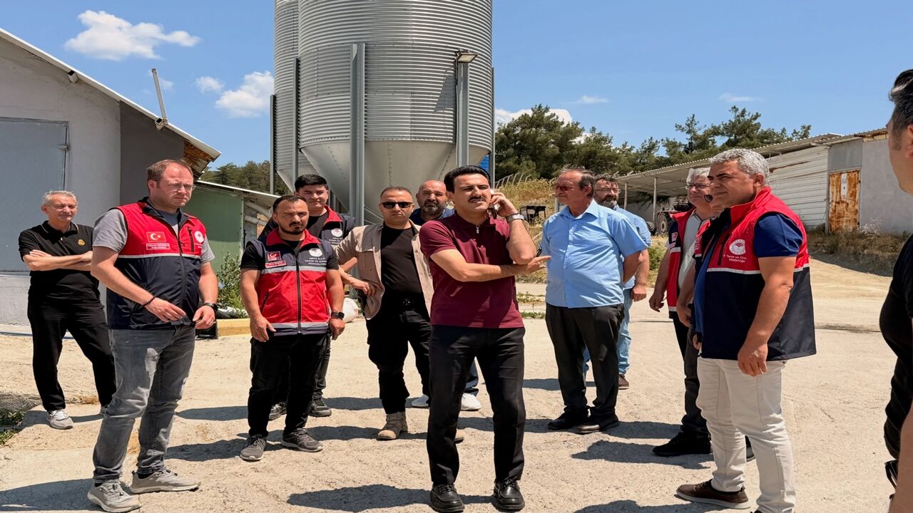 Kastamonu Tavuk Çiftlikleri Gezi (3)