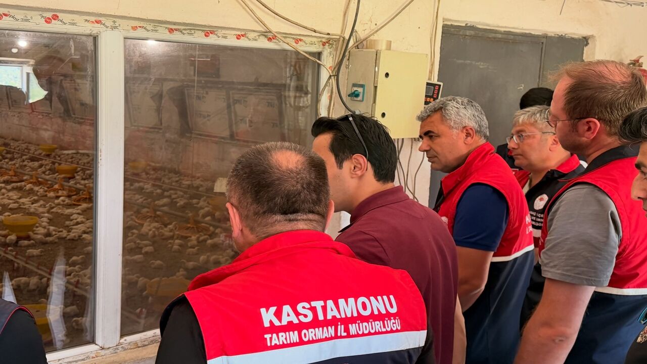 Kastamonu Tavuk Çiftlikleri Gezi (4)