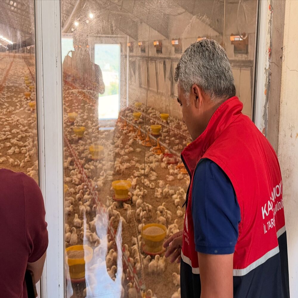 Kastamonu Tavuk Çiftlikleri Gezi (6)