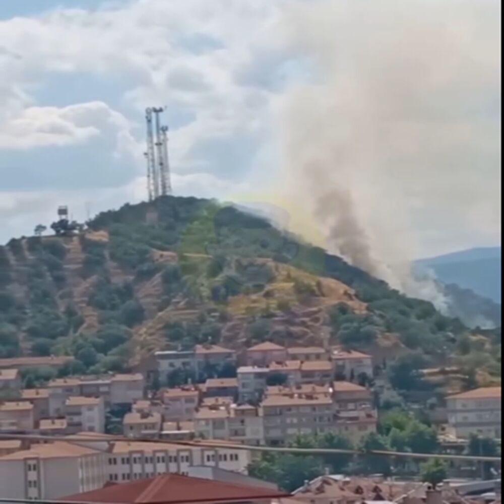 Kastamonu Tosya Da Orman Yangın Çıktı Açıklama (2)
