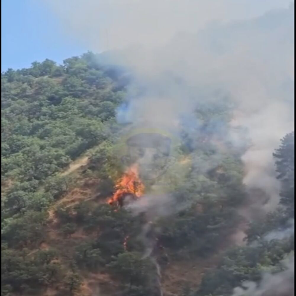 Kastamonu Tosya Da Orman Yangın Çıktı Açıklama (3)