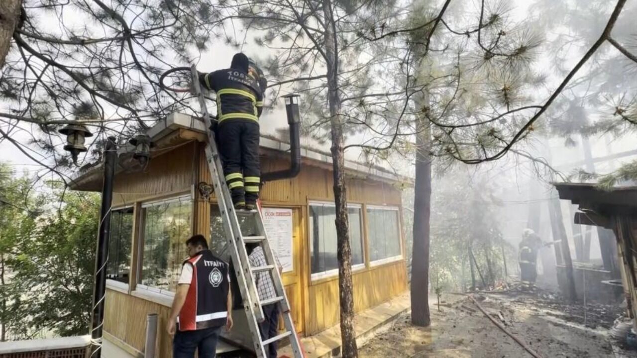 Kastamonu’da Alevler Ormana Ramak Kala Durduruldu (1)