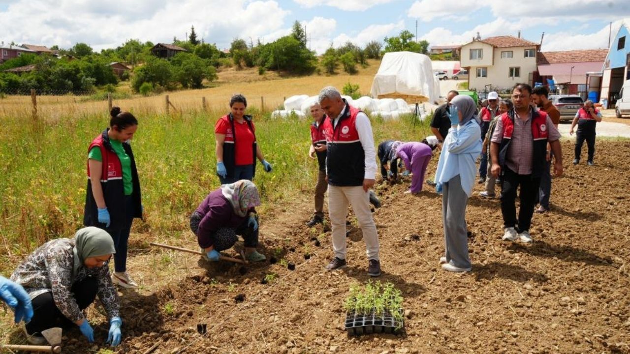 Kastamonu’da Aromatik Bitkiler Çiftçiye Yeni Gelir Kapısı Olacak (1)