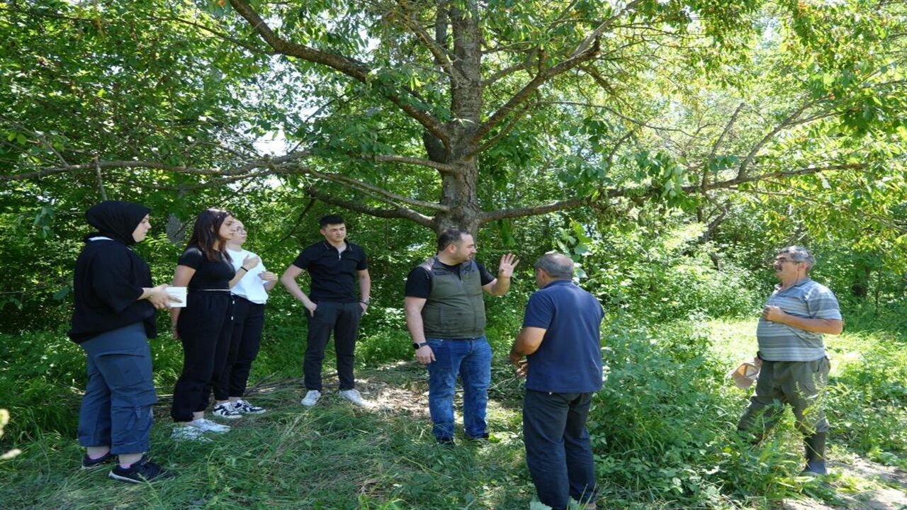 Kastamonu’da Ayı Korkusu Alarma Geçirdi Milli Parklar Fotokapan Kurdu (4)
