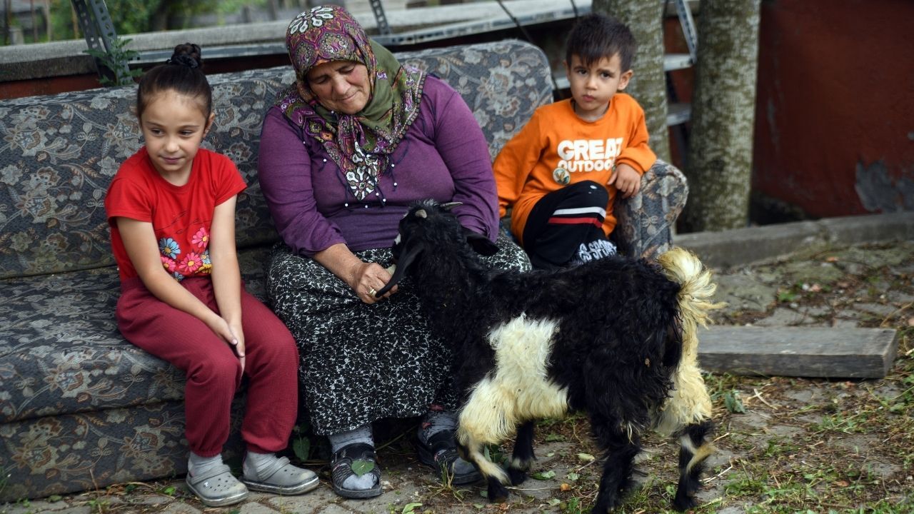 Kastamonu’da Engelli Keçi Yavrusu Alagız’a Sevgiyle Bakıyorlar (4)