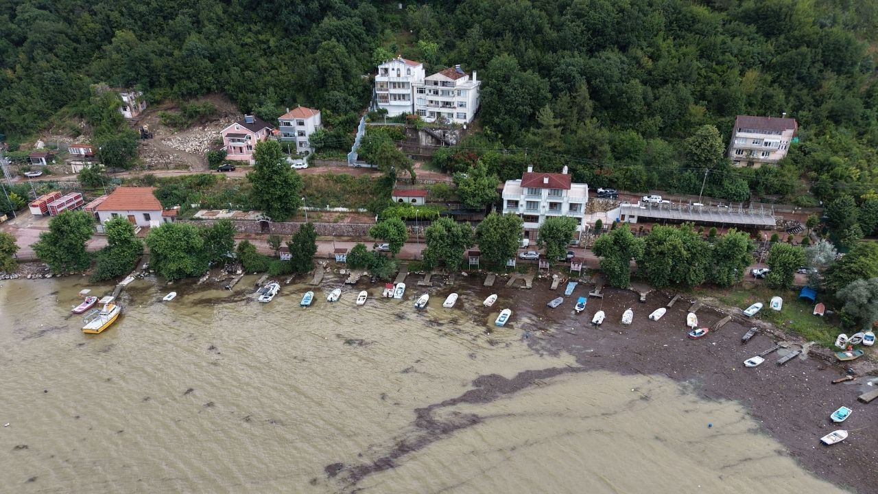 Kastamonu'da Taşkının Sürüklediği Odunlar Limanı Kapattı (2)