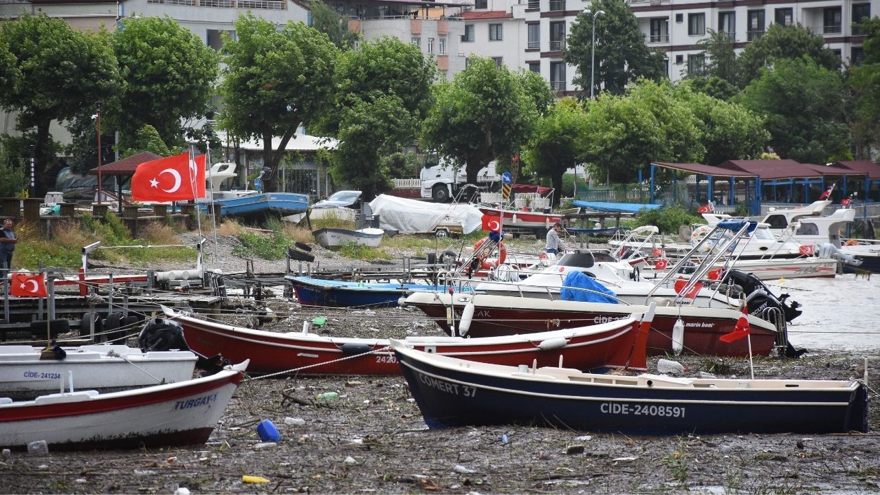 Kastamonu'da Taşkının Sürüklediği Odunlar Limanı Kapattı (5)