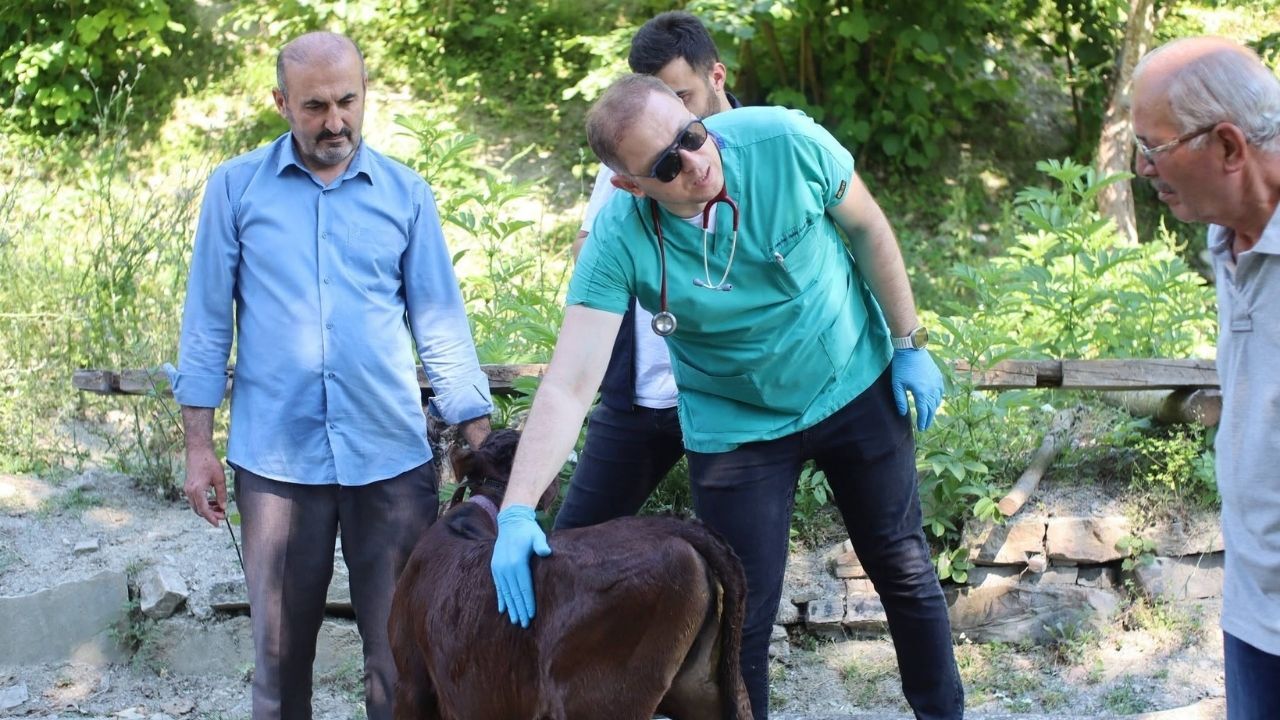Kastamonu’da Üreticilere Buzağı Kayıplarını Önleme Eğitimi (1)