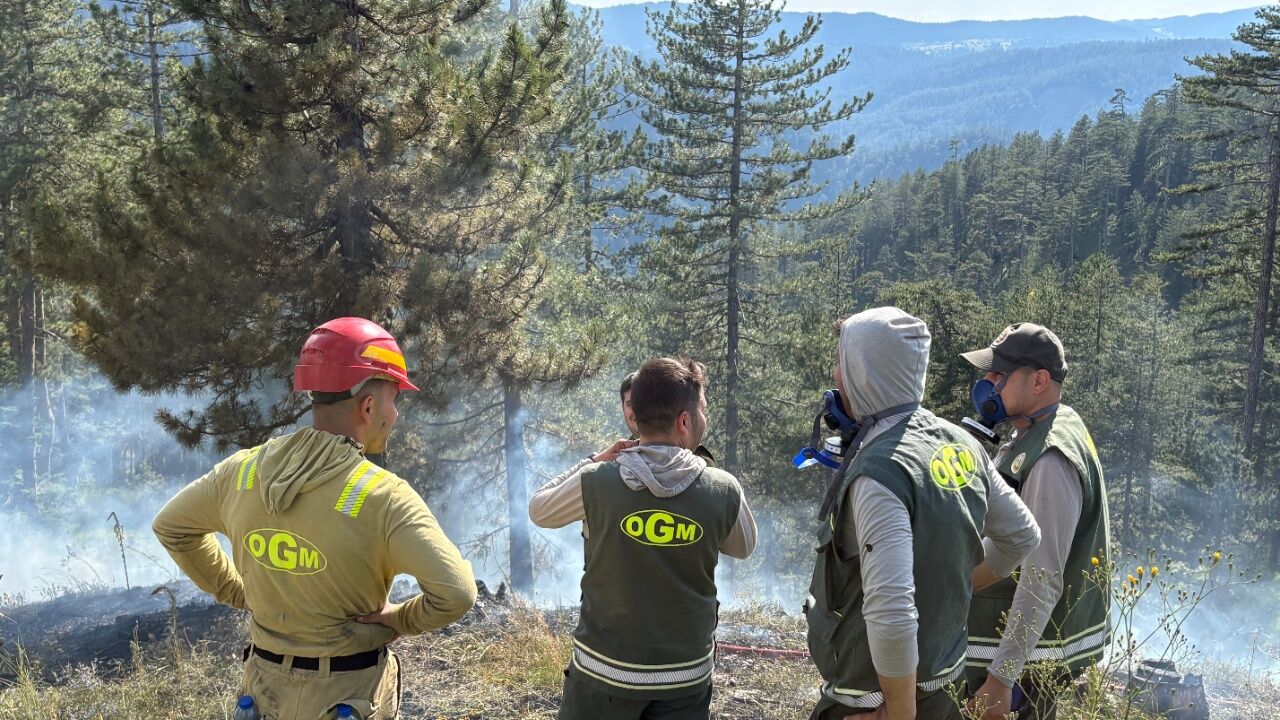 Kastamonu'daki Orman Yangınında Yeni Gelişme! Zararın Boyutu Netleşti (4)