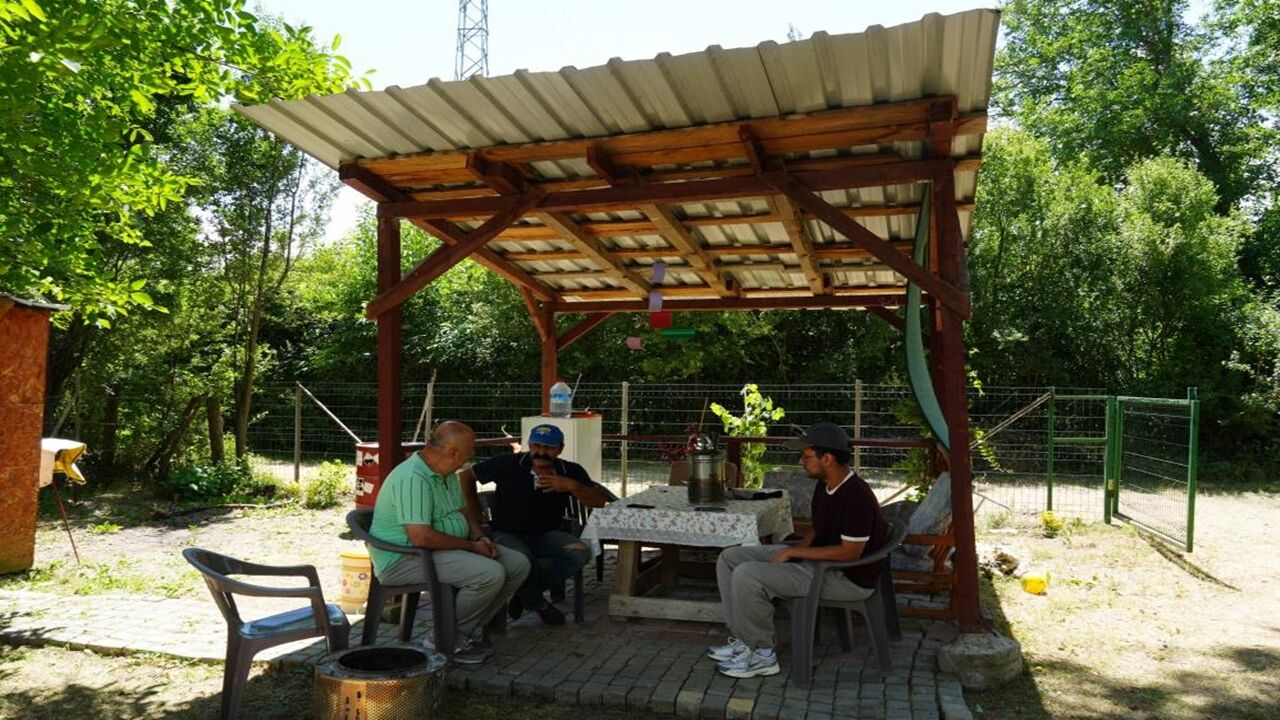 Köye Ayı Indi Huzursuz (3)