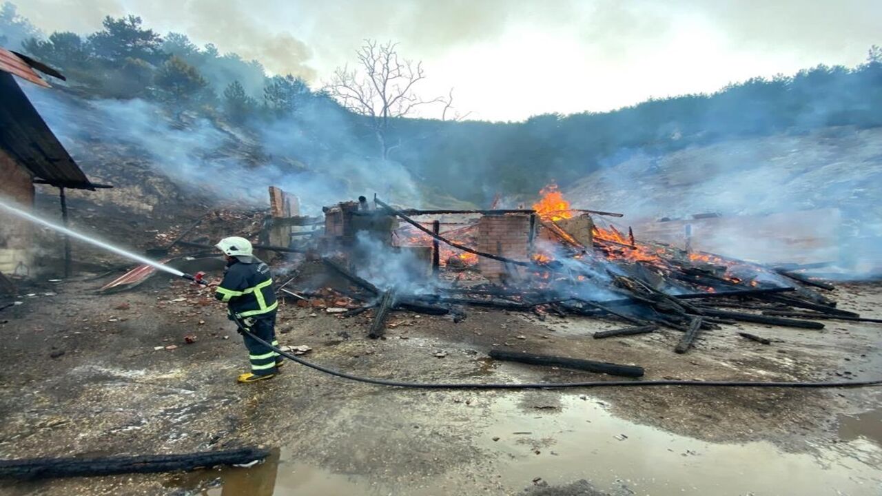 Orman Yangını Kastamonu (1)