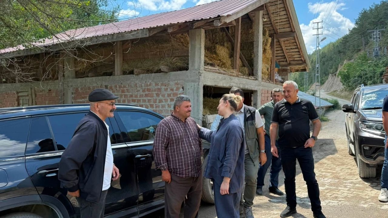 Serap Ekmekci Kızılkese Yangın (3)