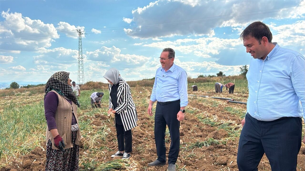 Sevgilioğlu Sarımsak Tarlasında (2)