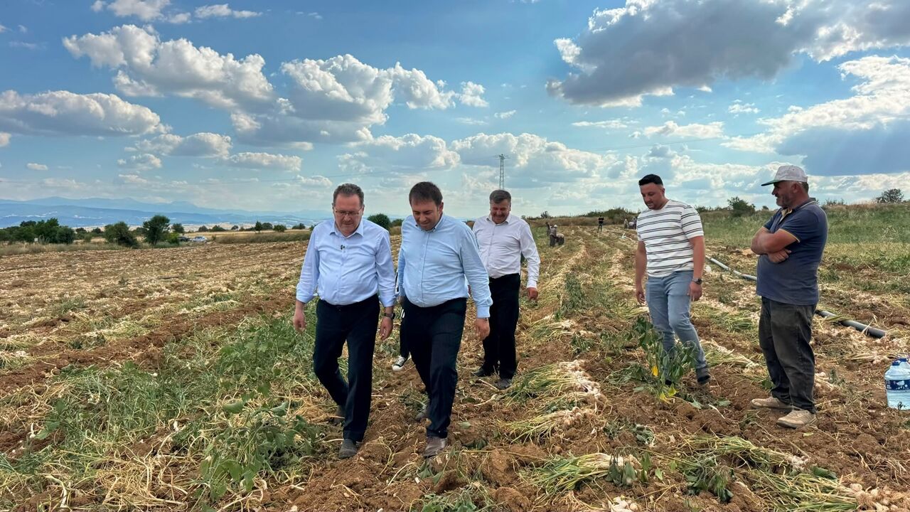 Sevgilioğlu Sarımsak Tarlasında (5)