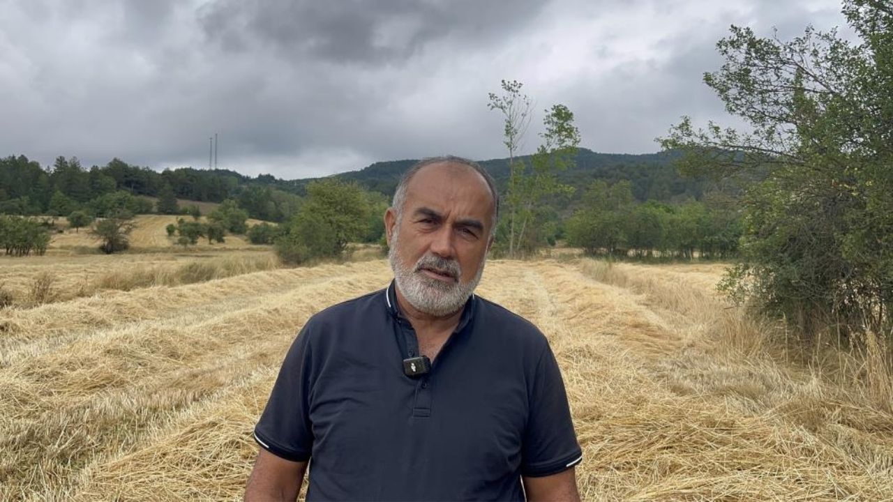 Siyez Buğdayı (1)