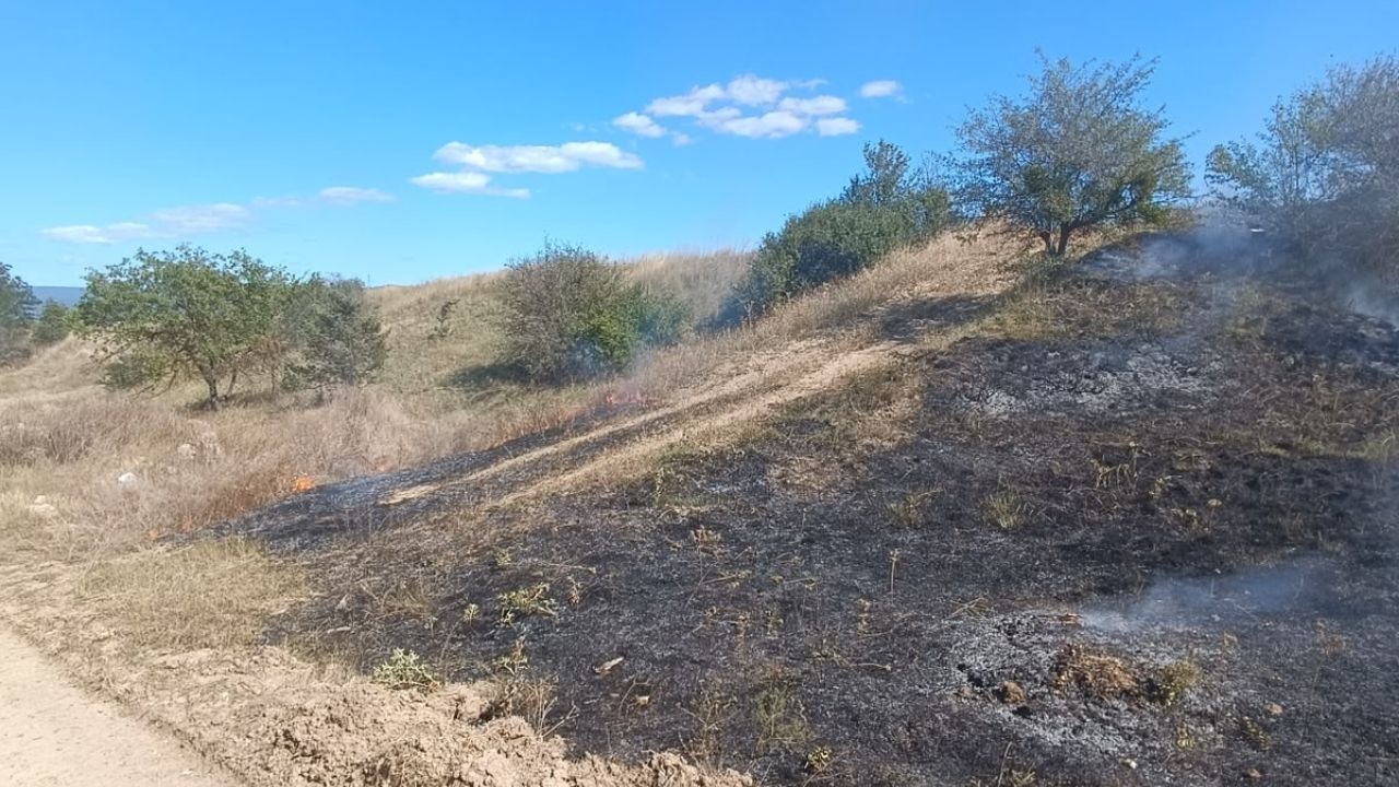 Son Dakika Taşköprü’de Anız Yangını Paniği, Ekipler Zamanla Yarıştı (2)