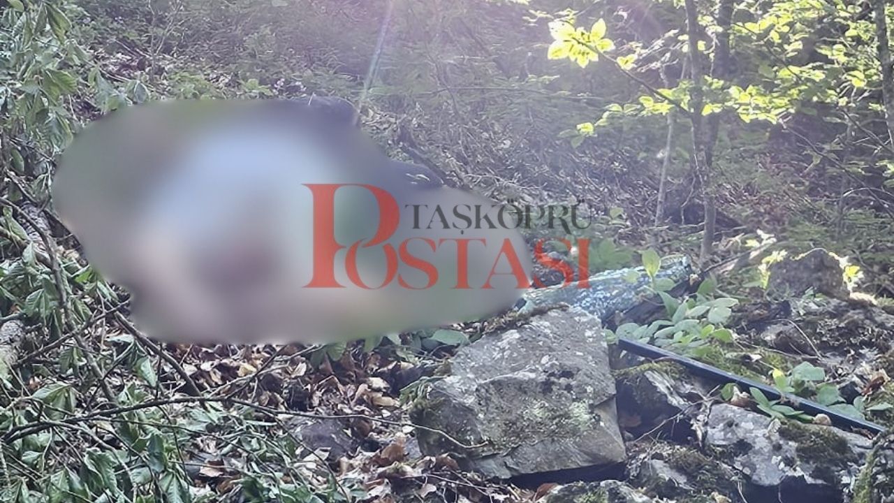 Son Dakika! Taşköprü’de Düğün Dönüşü Kaza Davulcu Ve Köçek Yaşamını Yitirdi (3)