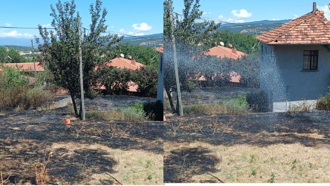 Son Dakika Taşköprü’de Otluk Alan Alevlere Teslim Oldu (1)