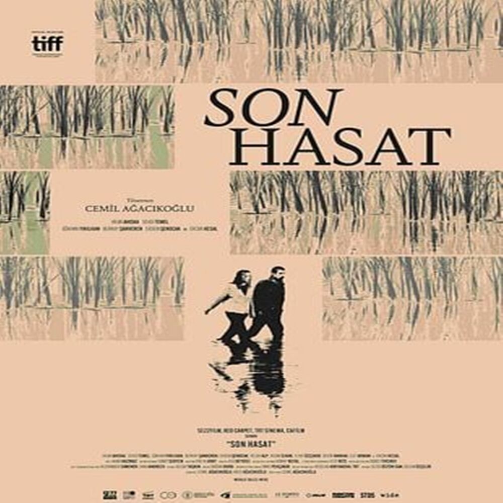 Son Hasat Tosya (2)