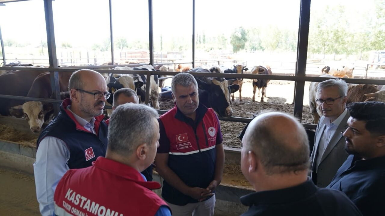Tarım Kastamonu Hayvancılık (2)