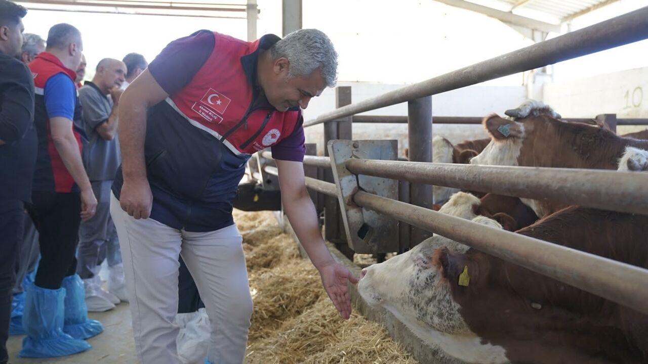 Tarım Kastamonu Hayvancılık (3)