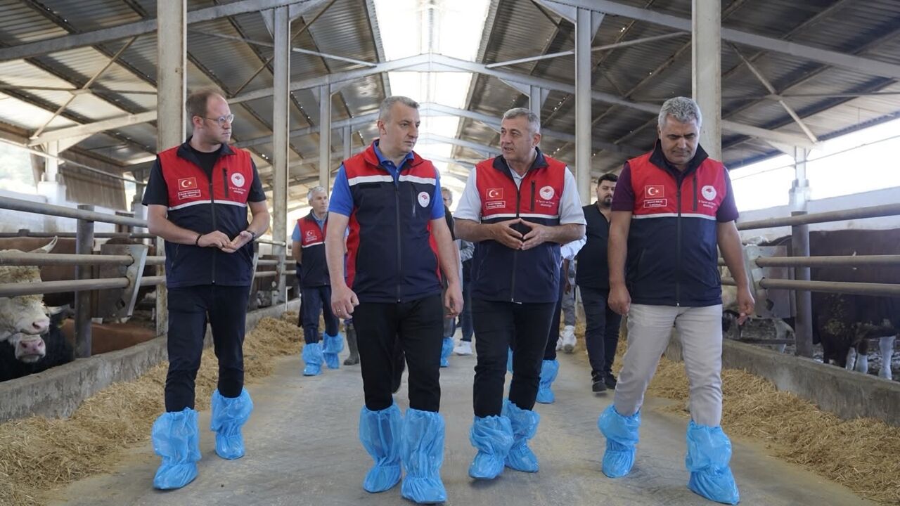 Tarım Kastamonu Hayvancılık (5)