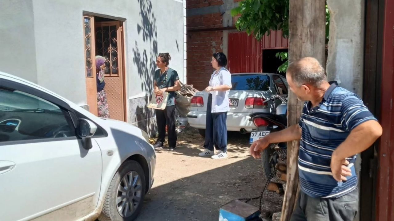 Taşköprü Kene (1)