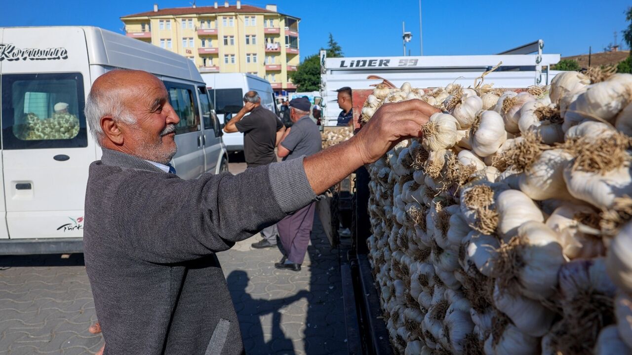 Taşköprü Sarımsak Pazarı (1)-1