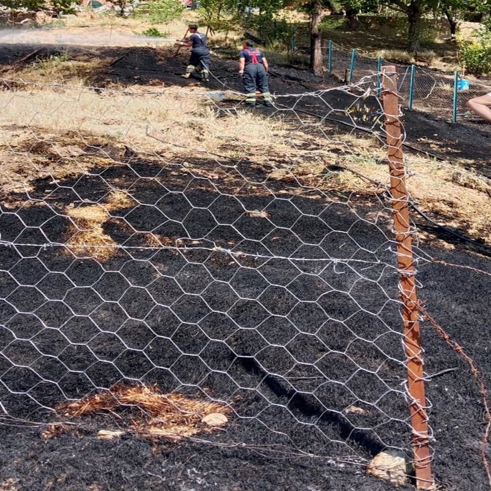 Taşköprü Yangın Itfaiye Ot (4)
