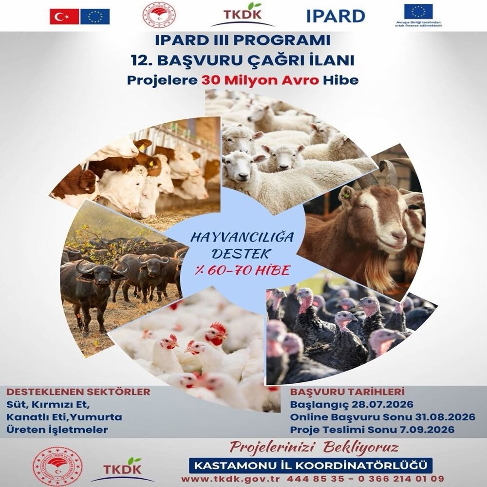 Tkdk 30 Milyon