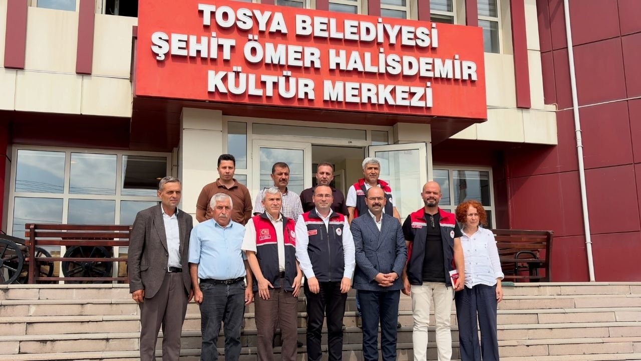 Tosya Asma Yaprağı (2)