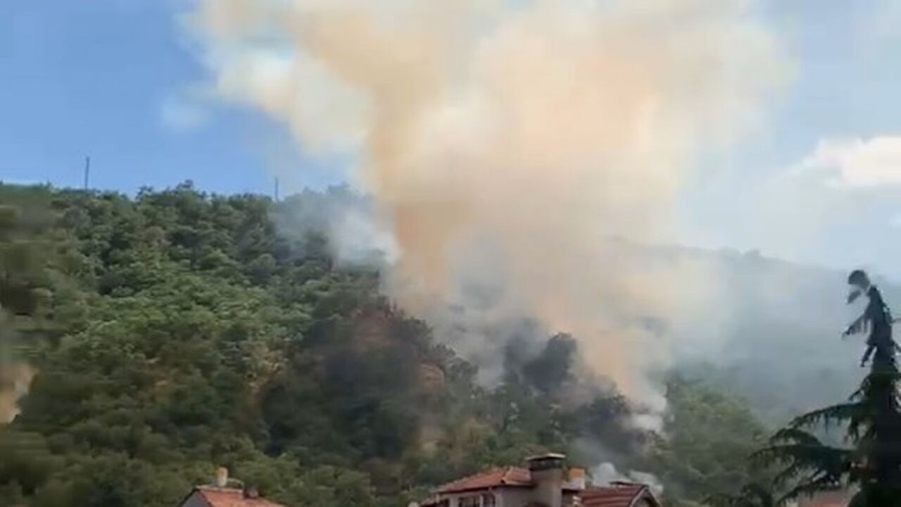 Tosya Hıdırlık Son Dakika Yangın (1)