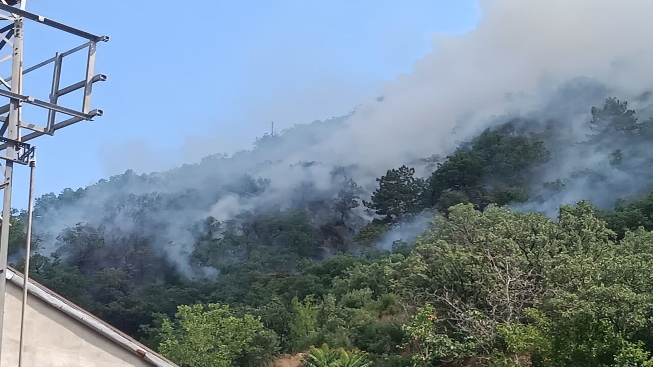 Tosya Hıdırlık Yangın (3)