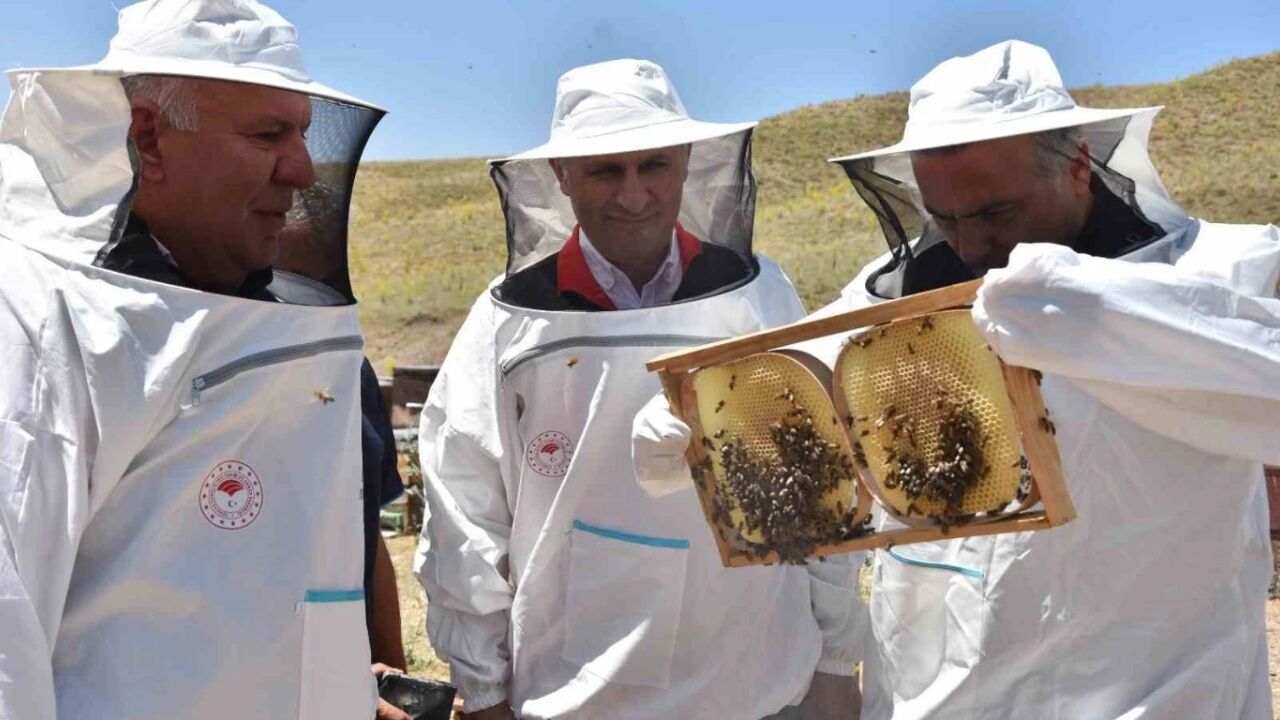 Türkiye'nin Bal Üretiminde 1