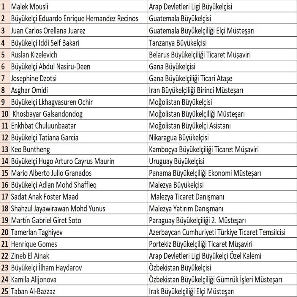 Uluslararası Ekonomik İş Birliği Zirvesi (3)