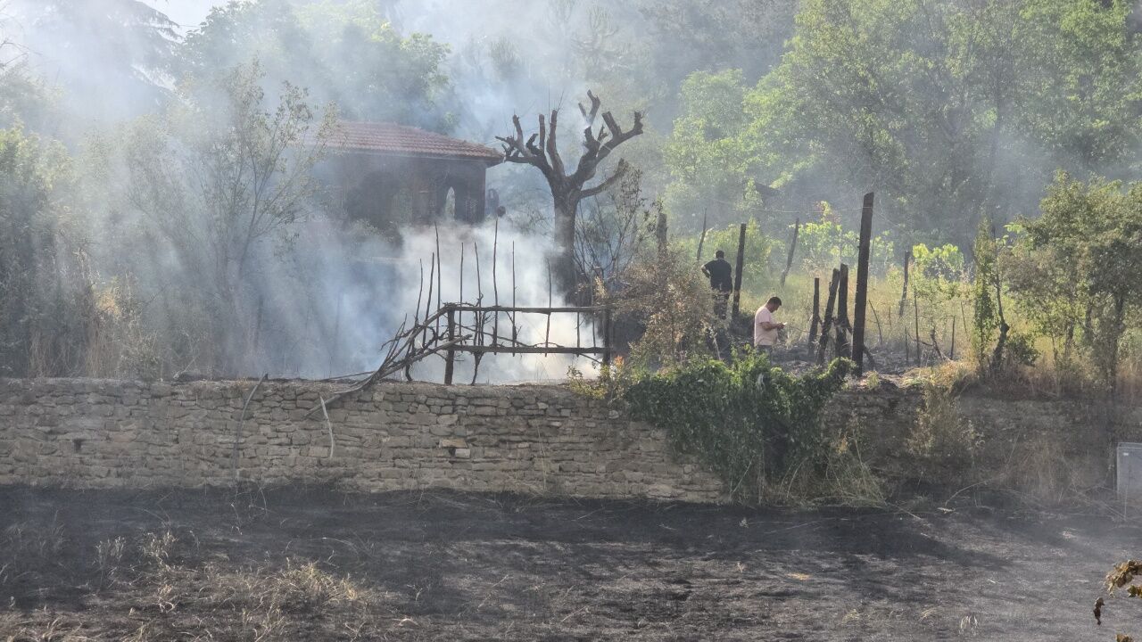 Yangında Yürek Isıtan Kurtarma! Jandarma Kaplumbağa Ve Yavrularını Alevlerden Çıkardı (2)