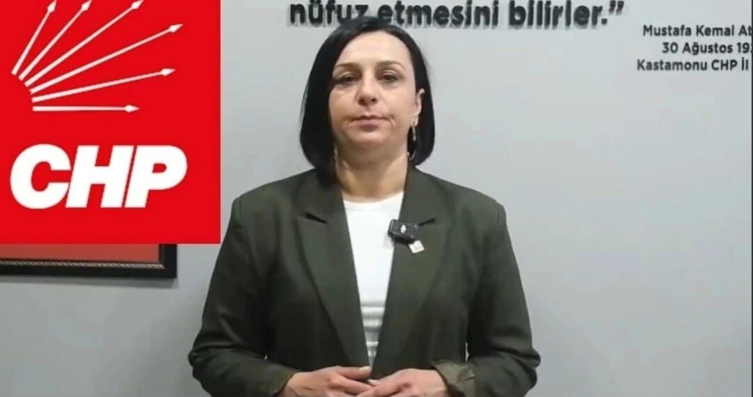 Yeni Parti Ve Chp… (2)