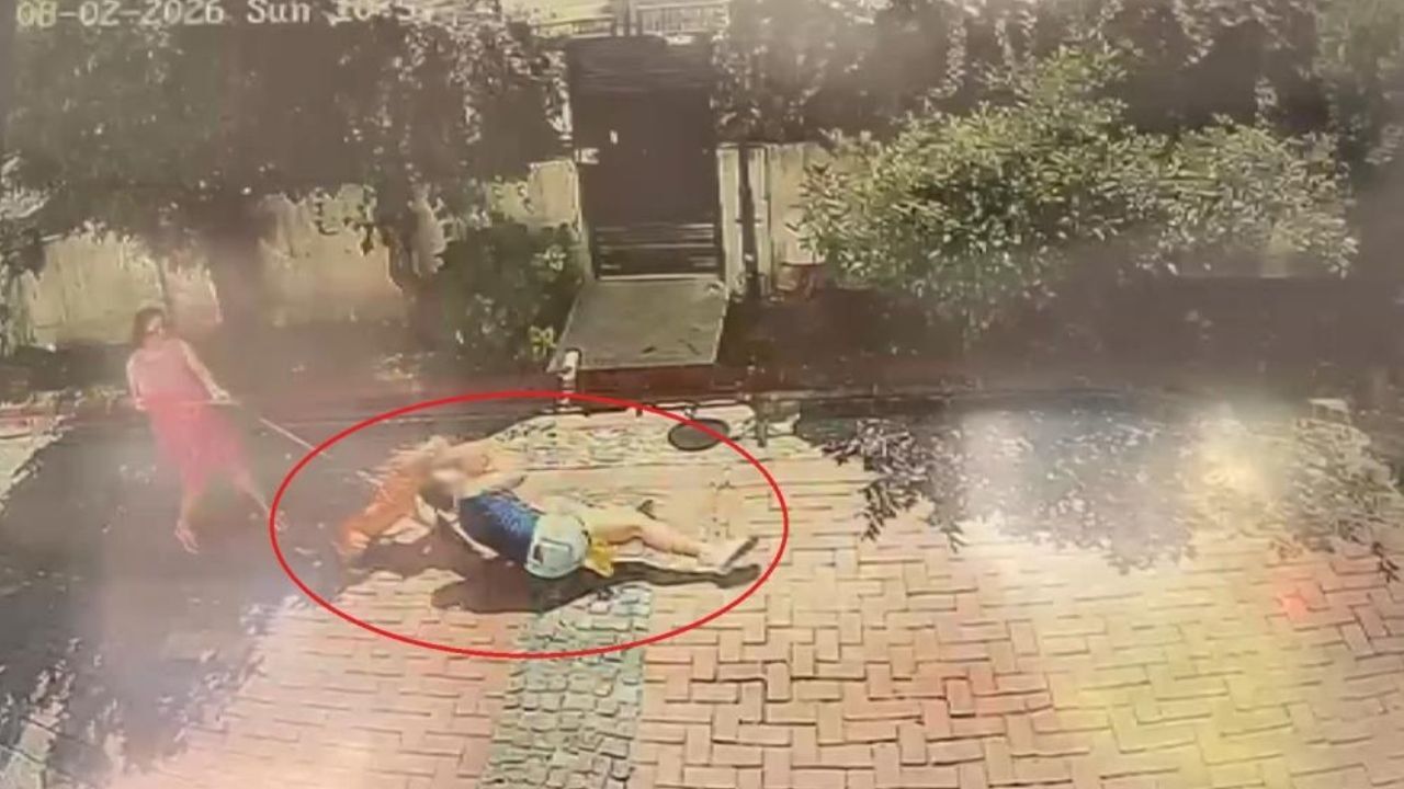 Ağızlıksız Pitbull Dehşet Saçtı Küçük Kız Yere Savruldu, Köpeği Ağır Yaralandı (2)