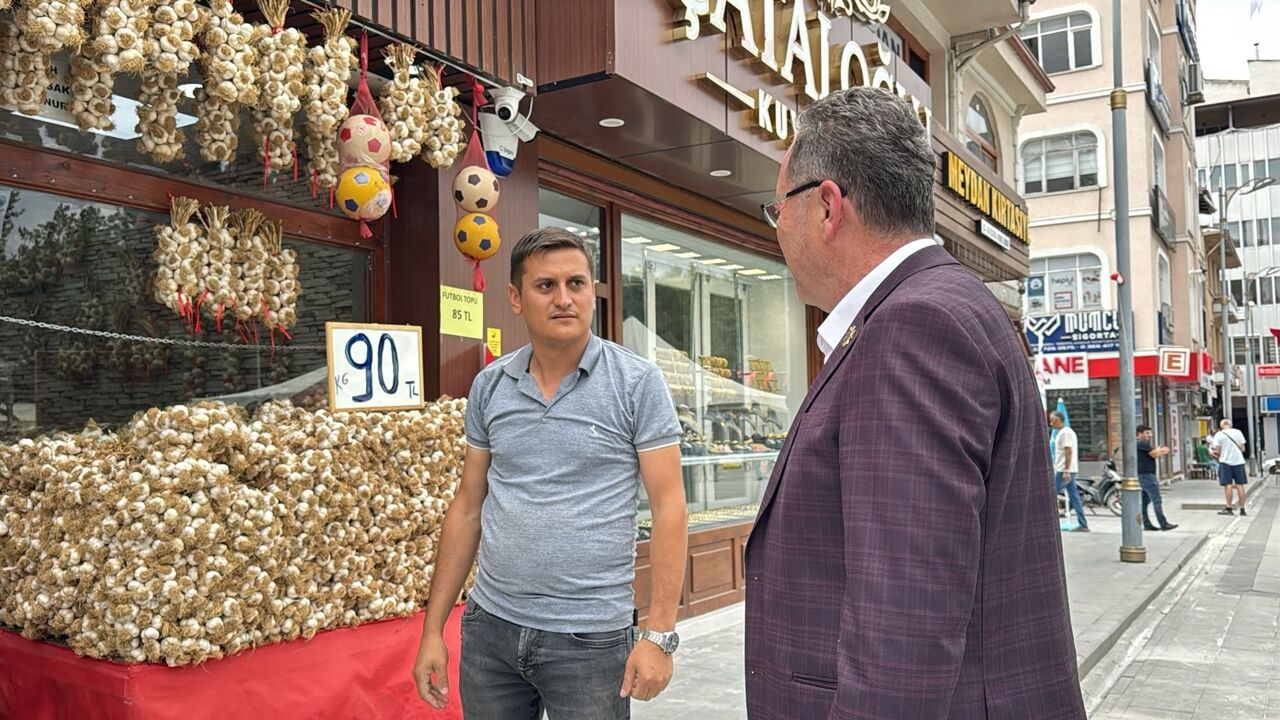 Ahmet Sevgilioğlu Taşköprü (7)