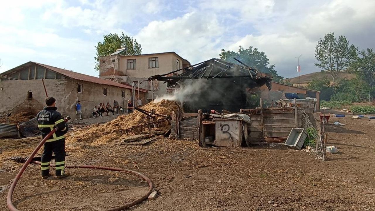Ambar Alevlere Teslim Oldu 7 Ton Buğday Kül Oldu (2)