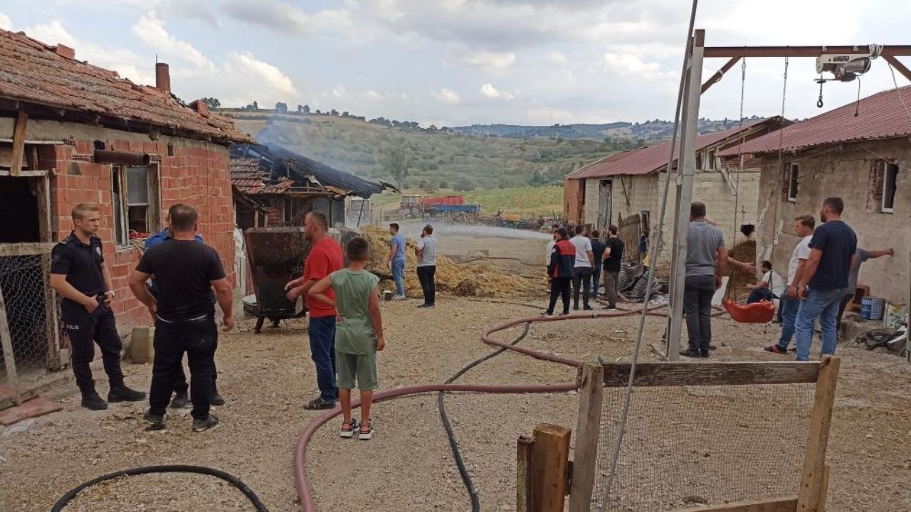 Ambar Alevlere Teslim Oldu 7 Ton Buğday Kül Oldu (3)