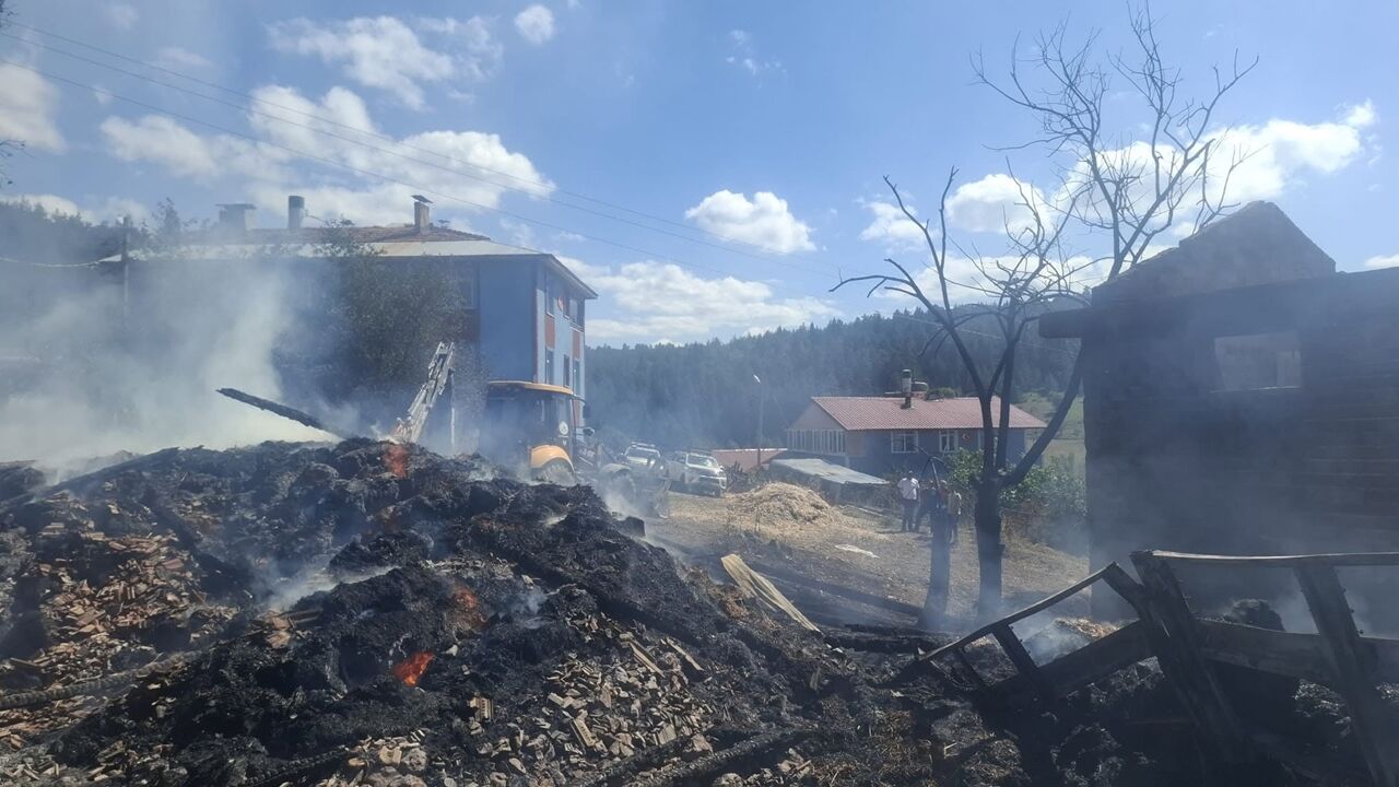 Azdavayda Yangın Kayıp Ağırlaştı (1)