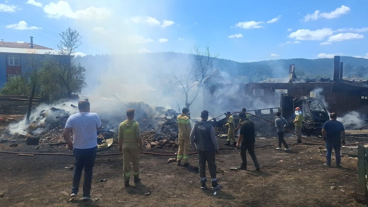 Azdavayda Yangın Kayıp Ağırlaştı (6)